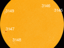 All of these sunspots are stable and quiet. [Photo courtesy of NASA SDO/HMI]